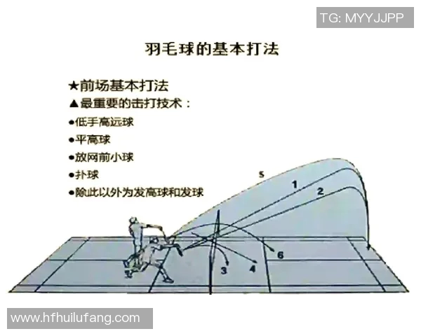 羽毛球顶级赛事选手状态分析与赛程安排全景解读